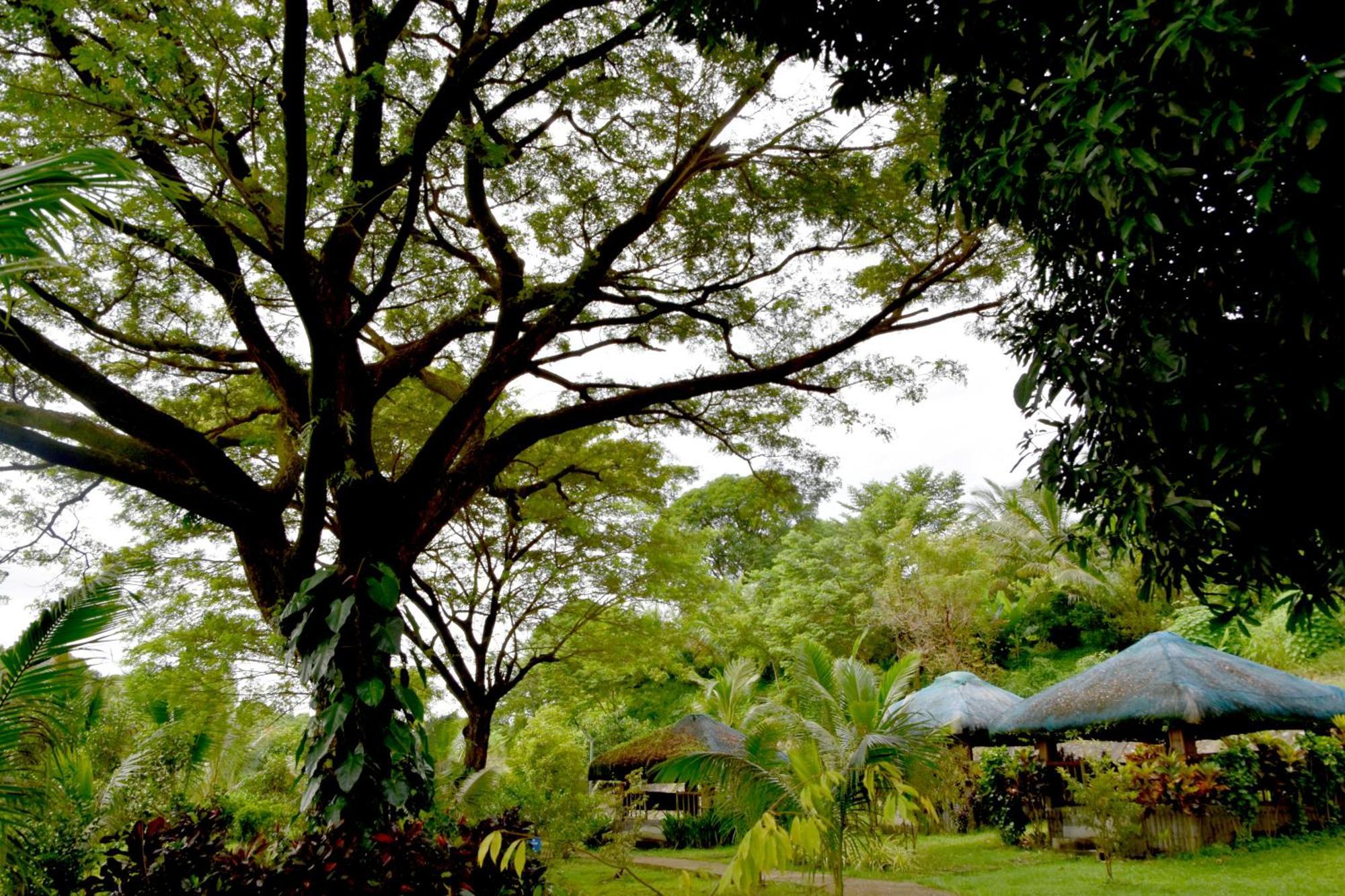 Isla De Oro Hotel Mamburao Bagian luar foto